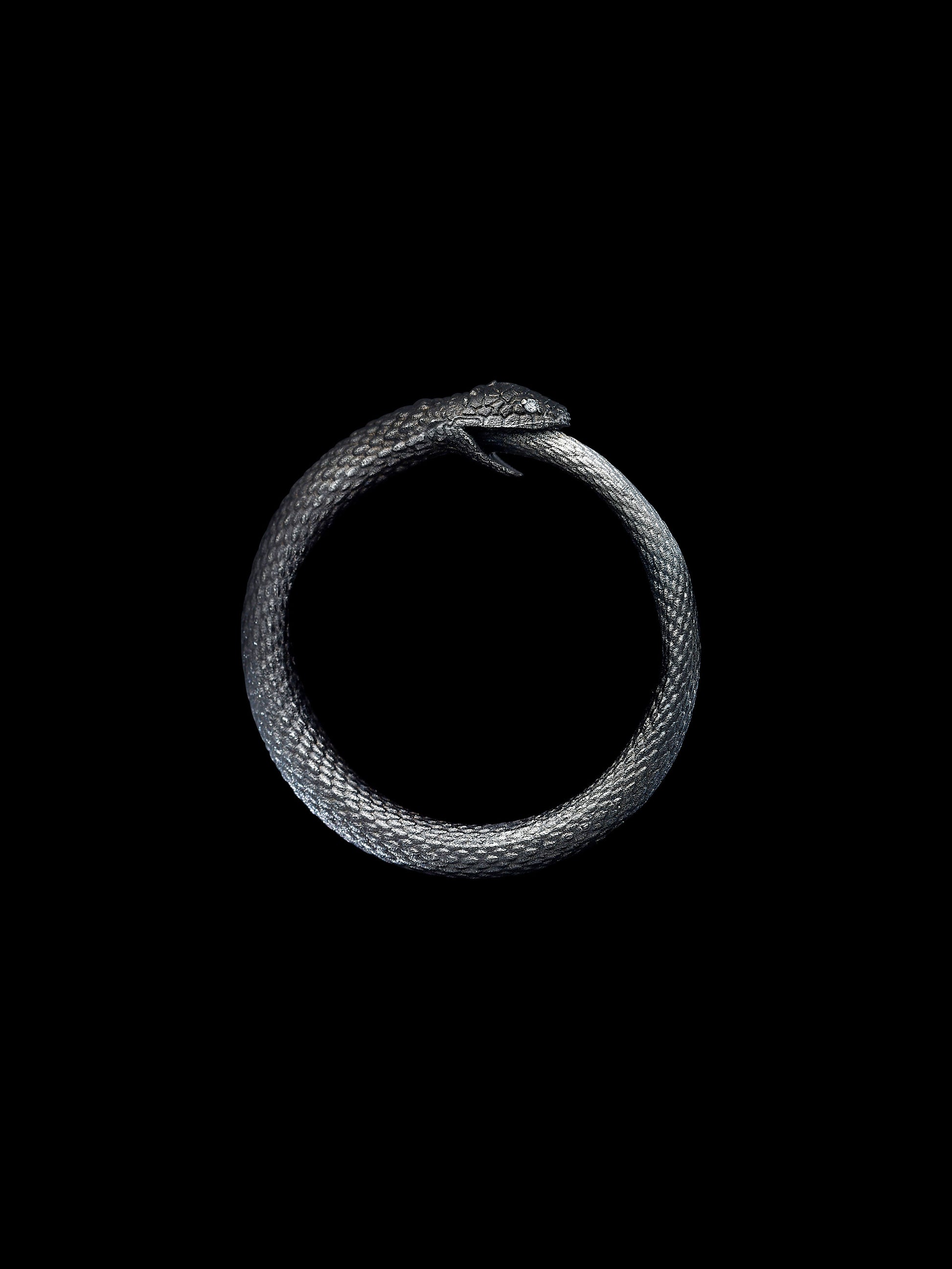 The Ouroboro