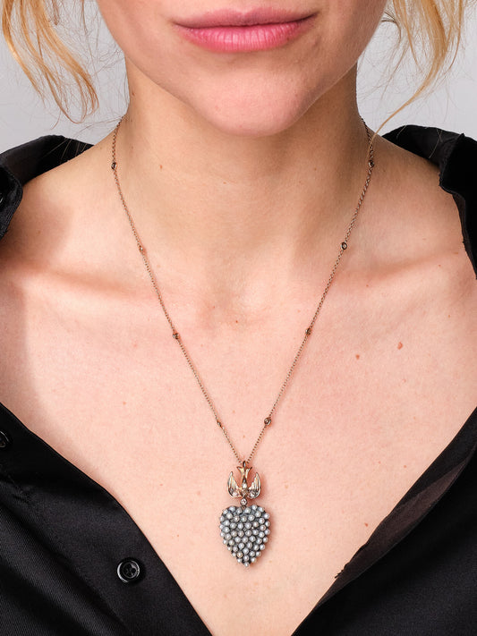 Heart of the Swallow